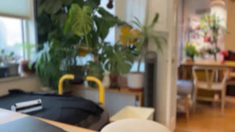 jaxz29 online show from February 20, 8:20 pm