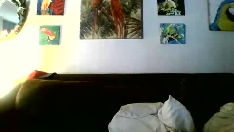 Snapshot of jay_jay1475 chatting on May 7, 5:40 pm jay-jay1475 online show from May 7, 5:40 pm