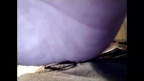 Jaybird online show from December 25, 6:20 am