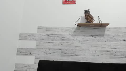 Jaycreedd online show from September 26, 2:37 am