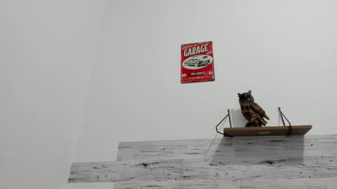 Jaycreedd online show from September 29, 12:38 am