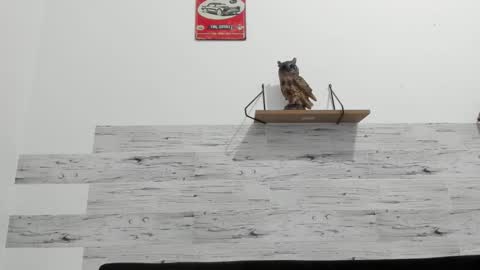 Jaycreedd online show from October 10, 1:48 am