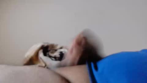 Snapshot of jayl458 chatting on March 10, 10:59 am jayl458 online show from March 10, 10:59 am