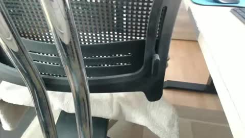 jc200000 online show from April 21, 5:28 pm