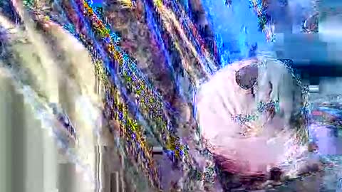 jcfoxx0920 online show from October 3, 1:41 pm