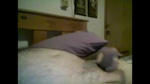 jerkmate6666 online show from October 14, 2:34 am