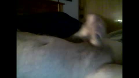 jerkmate6666 online show from December 4, 10:29 pm