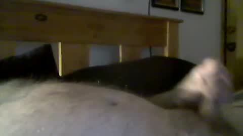 jerkmate6666 online show from March 15, 9:32 pm