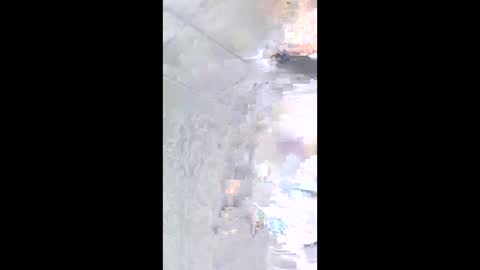 nashbridge1000 online show from March 4, 4:29 am