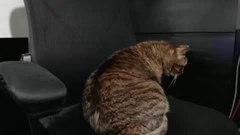 jhnbsomersxh0v1 online show from March 30, 11:11 am