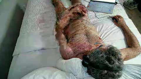 jimjimjim2633 online show from April 2, 12:52 am