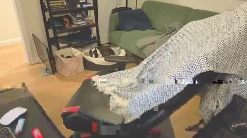 jimmygotya online show from April 13, 2:00 pm