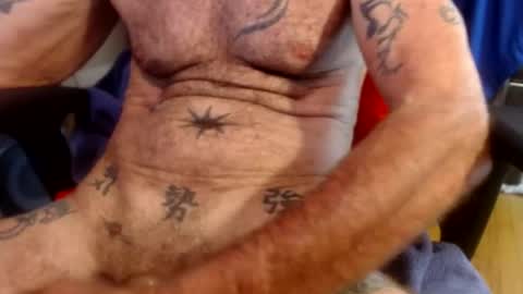 cock model  bathing suit model online show from August 6, 9:17 pm