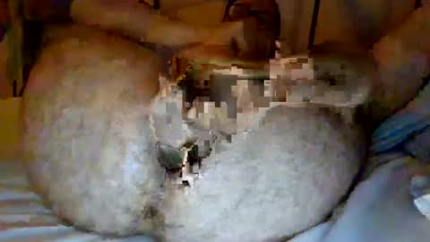 Snapshot of jjhot902921 chatting on June 25, 2:44 am jjhot902921 online show from June 25, 2:44 am
