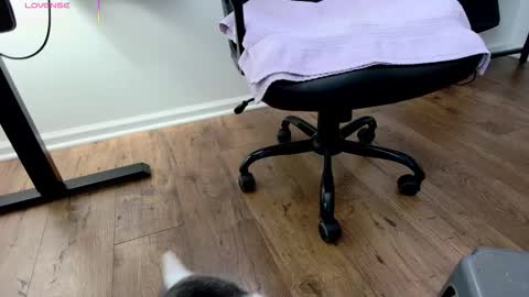 Nicole  Allen online show from December 3, 9:02 pm