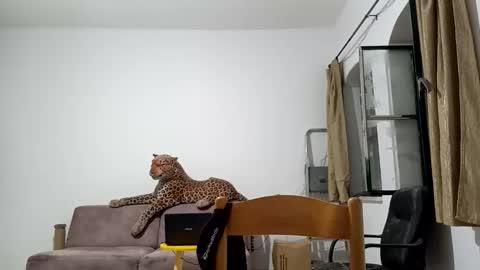 jlmbud online show from October 20, 12:33 am