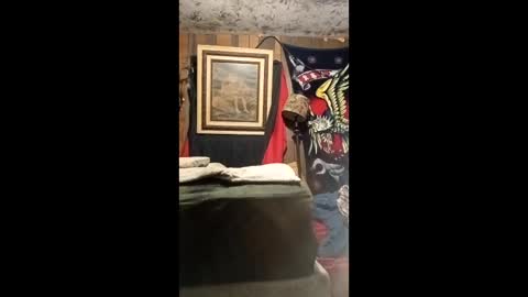 Snapshot of jo575838 chatting on April 13, 12:16 am jo575838 online show from April 13, 12:16 am