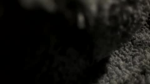 joekent795447 online show from April 20, 4:04 am