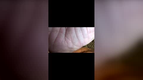 Snapshot of john091254 chatting on April 26, 2:53 am john091254 online show from April 26, 2:53 am