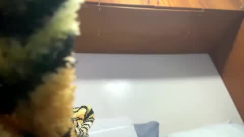 JOHN online show from February 8, 11:55 pm