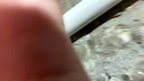 Snapshot of johnny_deep_420 chatting on January 21, 6:23 pm Johnny online show from January 21, 6:23 pm