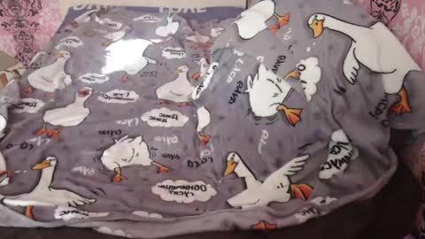 Johnny online show from February 23, 6:39 am