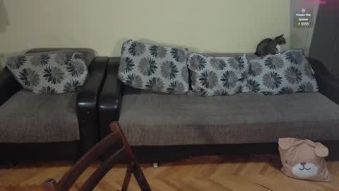 Johnny online show from December 14, 7:36 pm