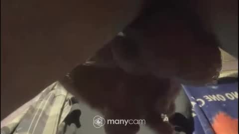 johnnyshung1 online show from February 2, 1:08 pm