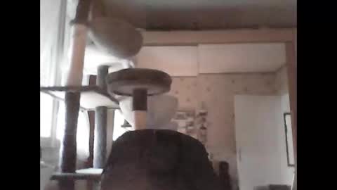 jojo60000529566 online show from September 29, 5:07 pm