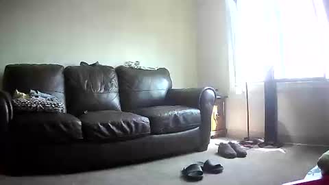 Snapshot of jonny4u_xxx chatting on June 8, 4:07 pm John online show from June 8, 4:07 pm