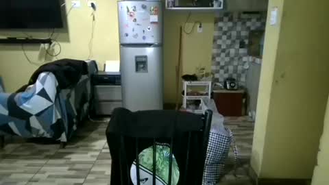 jordan281995 online show from October 26, 5:35 am