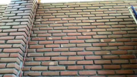 Snapshot of jorger577268 chatting on February 9, 8:34 pm JorgeMAXX online show from February 9, 8:34 pm