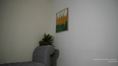 Joss  online show from February 25, 3:16 pm