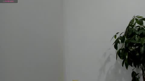 sofiaparker8 online show from July 26, 11:33 pm