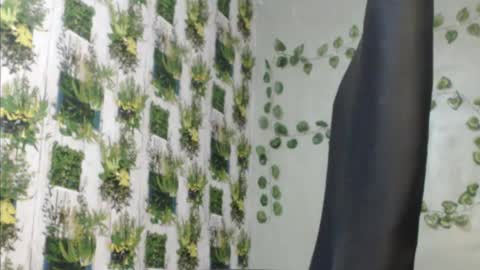 Snapshot of juicy_gold22 chatting on December 9, 11:58 am Mariagold online show from December 9, 11:58 am