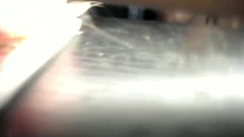 Den  online show from March 23, 12:53 pm