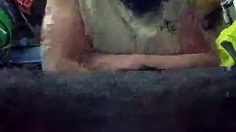 Snapshot of juicyweiner chatting on October 28, 8:51 am juicyweiner online show from October 28, 8:51 am