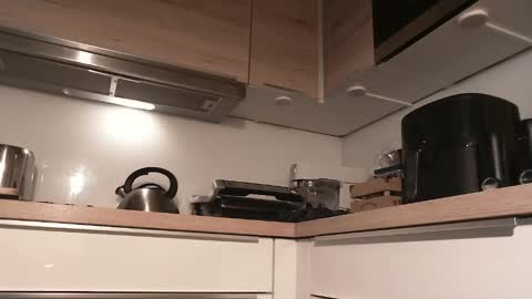 Snapshot of junction1000 chatting on December 28, 9:20 am Gregor online show from December 28, 9:20 am