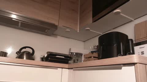 Snapshot of junction1000 chatting on December 30, 10:21 am Gregor online show from December 30, 10:21 am