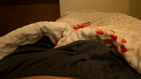 Snapshot of junction1000 chatting on February 3, 11:15 pm Gregor online show from February 3, 11:15 pm