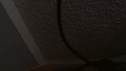 Snapshot of junction1000 chatting on February 25, 12:34 pm Gregor online show from February 25, 12:34 pm