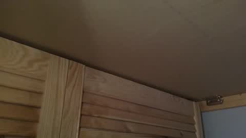 Snapshot of junction1000 chatting on October 7, 7:27 am Gregor online show from October 7, 7:27 am