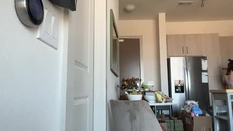 Stella online show from February 12, 9:43 pm