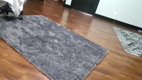 Snapshot of justaskforbiga chatting on January 15, 6:07 am Tohiptwoquit online show from January 15, 6:07 am