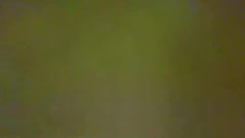 McKeefer online show from February 21, 4:52 pm