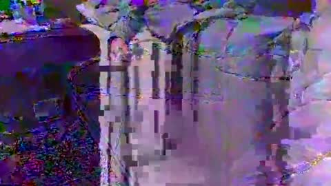 Snapshot of justinjodysarah957251 chatting on February 25, 3:49 am Techno Nymph online show from February 25, 3:49 am