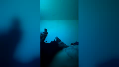 justrty online show from January 15, 12:32 pm