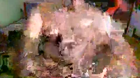 juteja online show from September 16, 9:16 pm