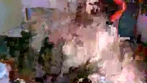 juteja online show from October 13, 9:15 pm