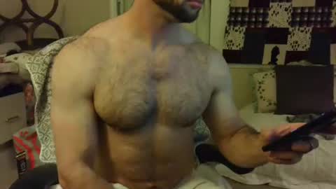 Wolf online show from February 7, 2:50 am